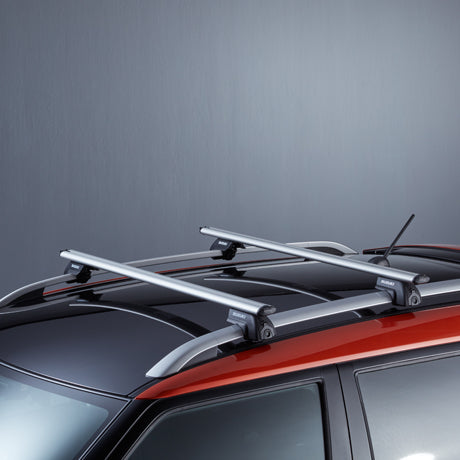 Dakdragers Suzuki Ignis 2020 >